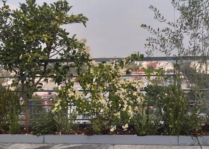 Apartment Condesa - Roma Luxury 201